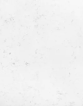 Carrara Statuario